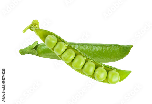 Fresh green peas growing inside a pod with vibrant leaves attached isolated on transparent background
