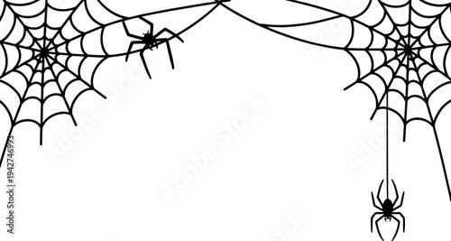 Spider web silhouette border, Halloween cobweb with spiders, creepy crawly insect corner frame, spooky hanging spider vector illustration, gothic decorative element (Exactly 20 words)