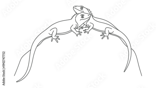 Lizard Line Art Embracing: a minimalist line art illustration shows two lizards lovingly embracing in a tender moment.