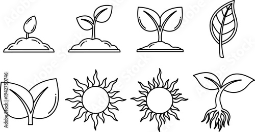 Set of icons depicting plant growth stages, sun, and leaves