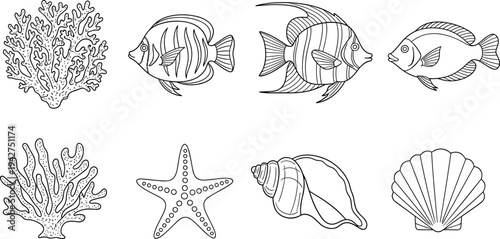 Collection of marine life illustrations including coral, fish, starfish, and seashells in outline style