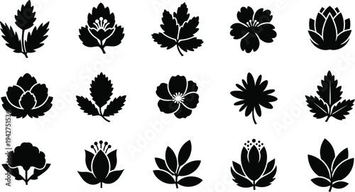 Black silhouettes of various flowers and leaves on white background