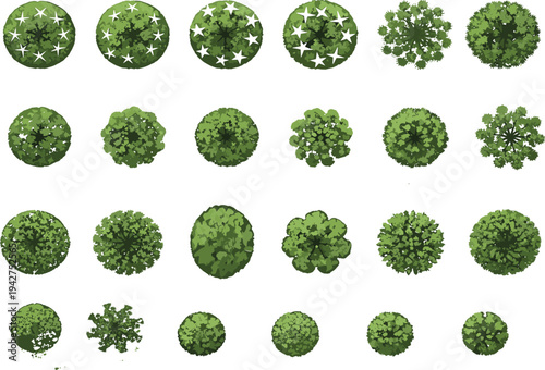 Top view green tree canopy collection, forest foliage set, isolated botanical elements, landscape design assets, nature vegetation vector illustration pack