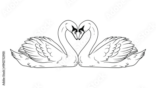 Swan Heart: An artistic sketch depicting two elegant swans gracefully intertwining their necks to form a heart shape, a timeless symbol of love and devotion.