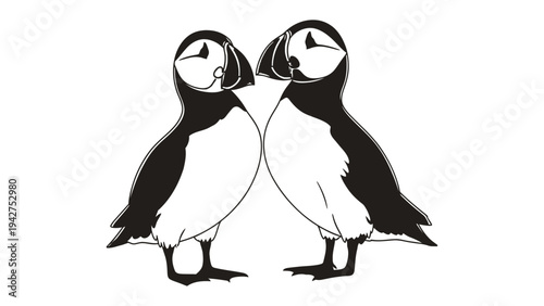 Puffin Pair in monochrome : a monochromatic depiction of two puffins, their iconic beaks and striking plumage, standing beak-to-beak, creates a graphic and elegant display
