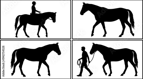 Flat vector illustration of black horse silhouettes in different poses including riding and walking with a handler on white background,