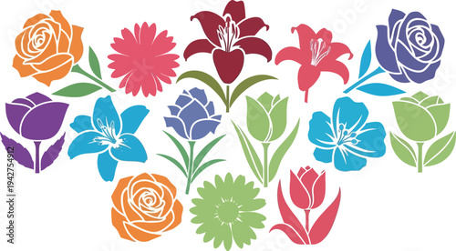 Colorful flowers in various shapes and sizes on white background roses