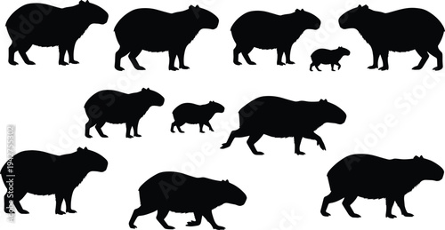 Capybara silhouette collection in different poses including walking standing and baby capybara, black animal vector illustration isolated on light background wildlife design set