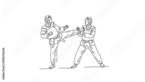Martial arts sparring: linear style scene with protective gear and action pose