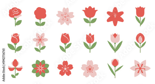 Various red and pink flowers on green stems with leaves