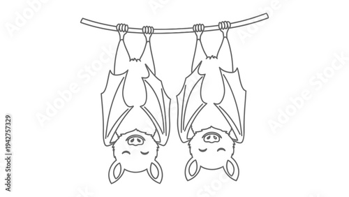 Nocturnal Companions: Two bats hang upside down from a branch, embracing a tranquil slumber in the darkness, showcasing their unique nocturnal lifestyle.
