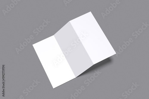 Trifold Blank