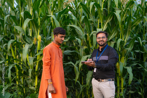 Slika na platnu young indian adviser and farmer standing together at green corn field