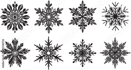 Set of unique black snowflakes on white background illustration