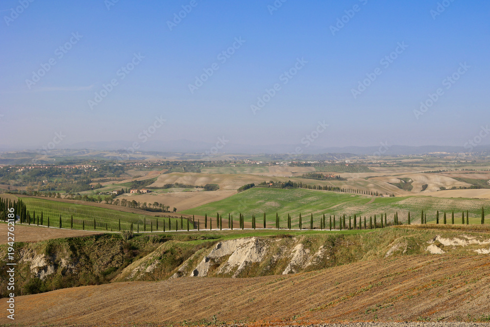 Obraz premium Panoramic autumn countryside with cypress road near Asciano in Tuscany, Italy