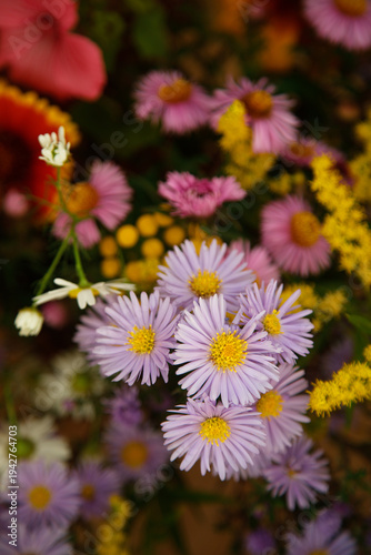 Michaelmas daisy in a bouquet