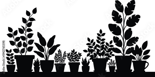 Collection of indoor potted houseplants silhouettes on shelf, decorative home garden plants with leaves and foliage, botanical interior decor illustration isolated background
