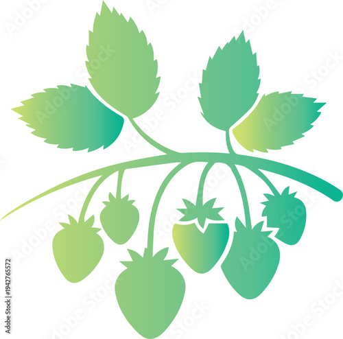 Green strawberry plant with leaves and fruit