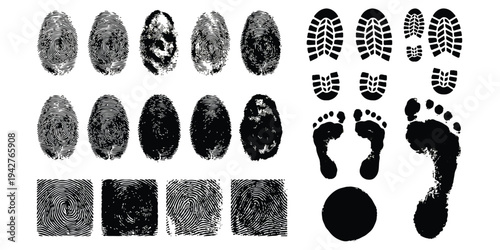 A collection of forensic evidence impressions including fingerprints, footprints, and shoe prints for identification purposes