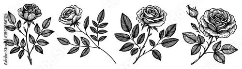 Vintage Rose Flower Collection Line Art Vector Sketches for Botanical Decoration and Floral Border Design