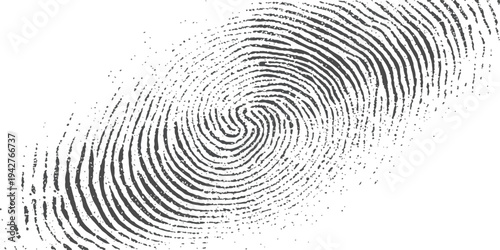 A detailed close-up image of a human fingerprint showing the unique whorl pattern.