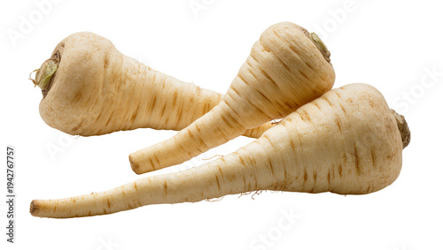 Obraz na plátně Isolated Parsnips A trio of fresh root vegetables from the Apiaceae family for c