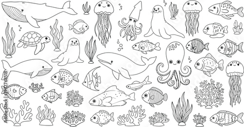 A collection of various sea creatures and marine life