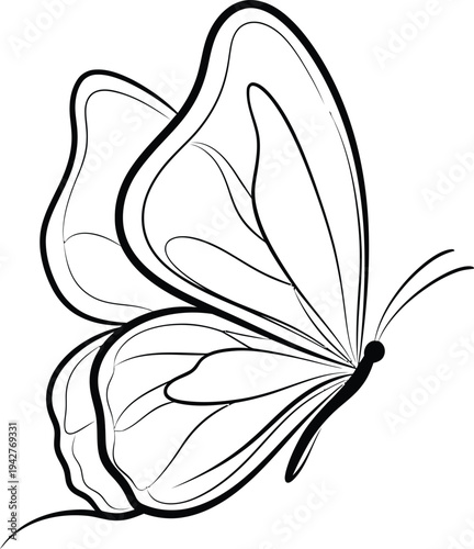 Black and white butterfly illustration