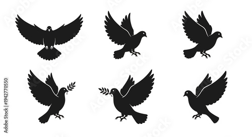 flat vector Set of 6 Dove Vectors isolated on White Background vector background, vector illustration