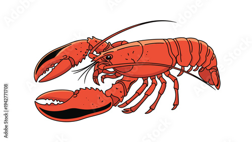 Detailed illustration of a large red lobster with prominent claws and long antennae isolated on a clean white background for seafood themes.