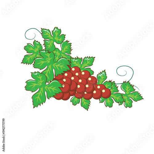 Ripe sweet berries on a leafy branch in garden closeup vector illustration