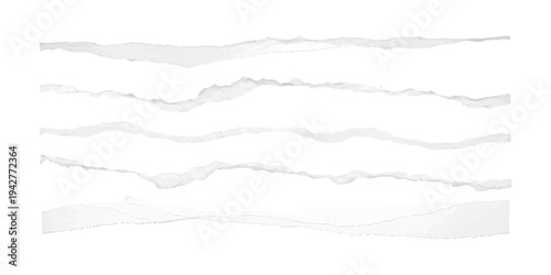 Collection of horizontal paper strips with rough, irregular torn edges, isolated on a white background