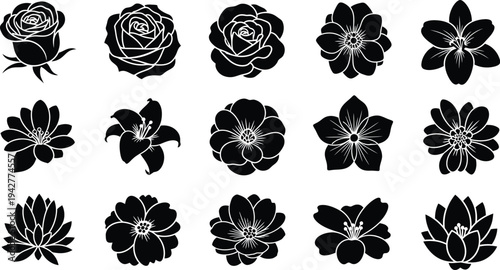 Black and white floral silhouettes on white background flowers 1