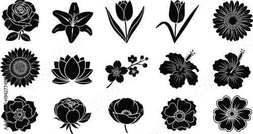 Black and white floral on white background flowers silhouettes