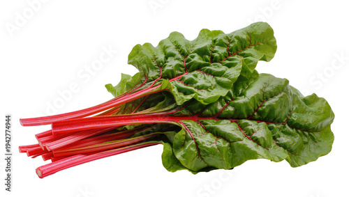 Obraz na płótnie Isolated bunch of fresh organic ruby red chard leafy greens, vibrant and nutriti
