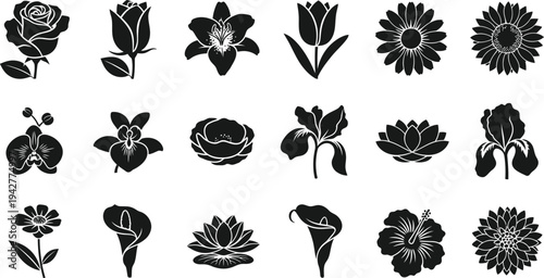 Black and white floral silhouettes on white background flowers