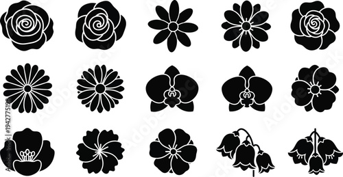 Black and white floral with various flower types flowers silhouettes