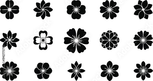 Black and white flower on white background flowers floral patterns