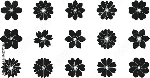 Black flowers on white background shapes