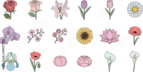 Colorful floral on white background flowers roses