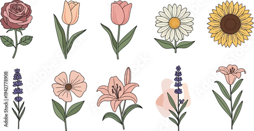 Colorful flowers including rose tulip sunflower daisy lily lavender