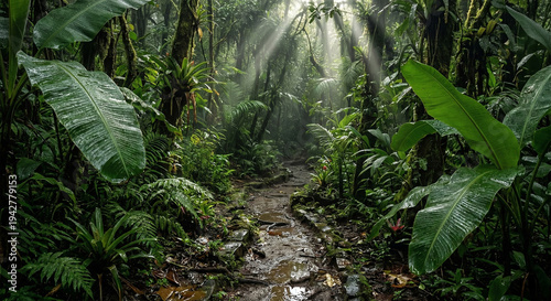 green grass in the forest