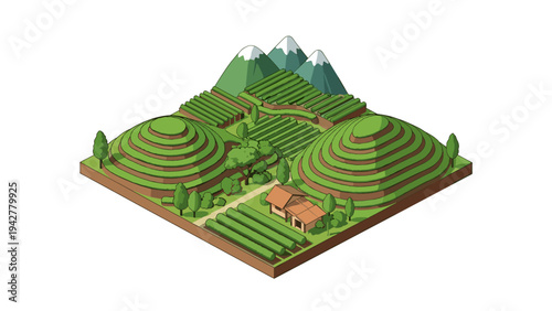Isometric tea plantation landscape with mountain view and lush greenery