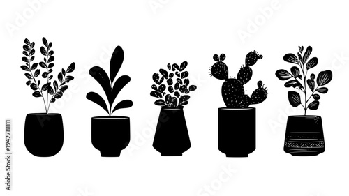 Desert plant family with thick foliage and ceramic pots, vector art set