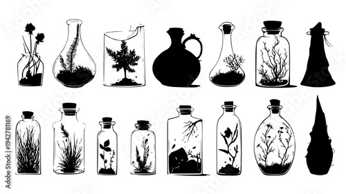 Arcane ingredient kit with moss and dried flower components, vectorized collection