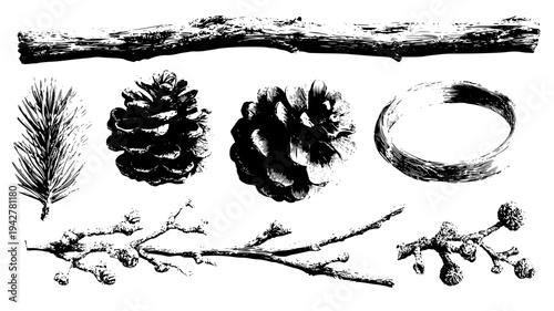 Autumnal ring selection with pinecones and weathered branches, set of vectors