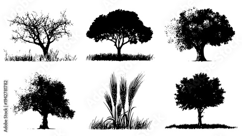 Deciduous bough collection featuring harvest grain bundles, set of vectors