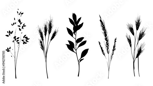 Deciduous bough collection featuring harvest grain bundles, illustration collection