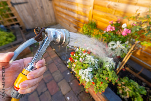 Fotografija Watering a household flower bed,outside during mid summer in a back yard,after a long hot sunny day,England,UK
