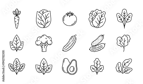 Healthy Diet and Organic Vegetable Outline Icon Pack Vector